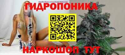 марки lsd Обь