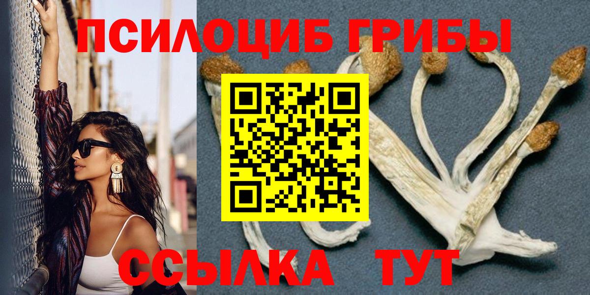 Краснокамск  Псилоцибиновые грибы мухоморы  Вход с VPN 