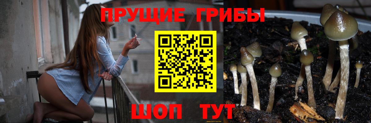Галлюциногенные грибы ЛСД Краснокамск